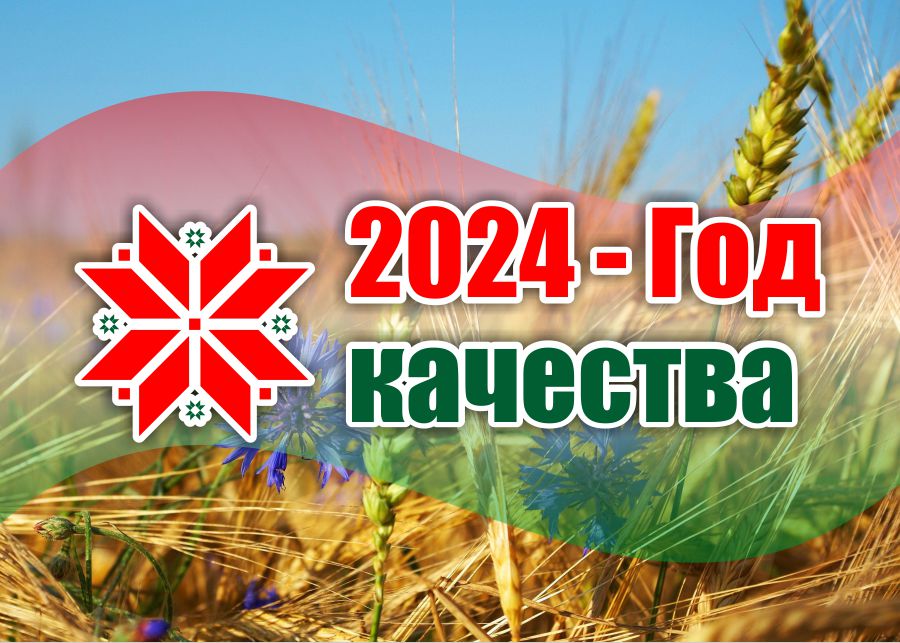 Год качества 2024